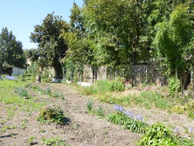 photo For sale Land ROCHELLE 17
