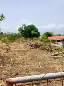 Vente Terrain VIEUX-HABITANTS 97119