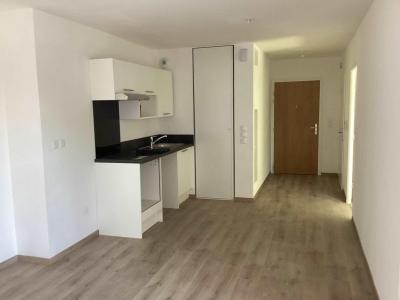 Location Appartement 2 pièces WILLEMS 59780