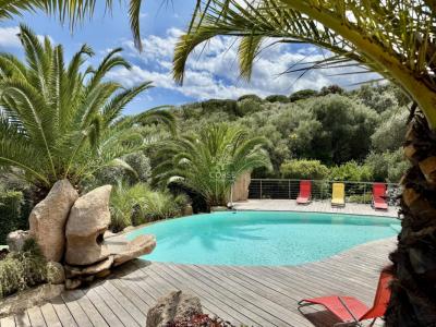 Vente Maison PORTO-VECCHIO 