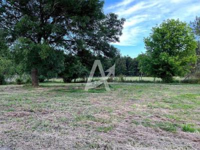 Vente Terrain SAINT-ANDRE-DE-CUBZAC 33240