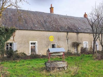 For sale House LEVET 