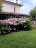 House MOISSAC 