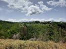 Acheter Terrain Vieux-habitants Guadeloupe