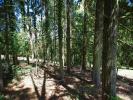 Vente Terrain Saint-germain-des-pres 45