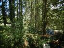 Acheter Terrain Saint-germain-des-pres 10000 euros