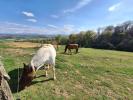 Annonce Vente 6 pièces Maison Blajan