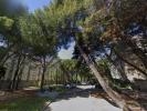Location Appartement Avignon 84
