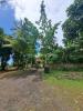 Vente Commerce Baie-mahault 971