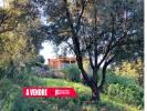 Annonce Vente 6 pièces Maison Sainte-lucie-de-porto-vecchio