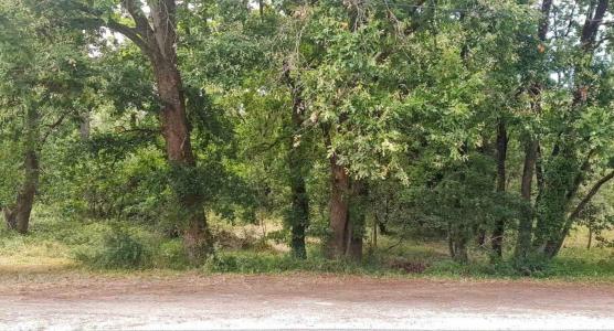 Vente Terrain SOULAC-SUR-MER 33780