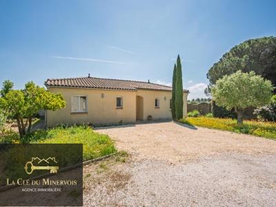 photo For sale House SAINT-COUAT-D'AUDE 11