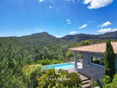 photo For sale House SARI-SOLENZARA 20