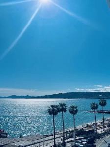 Vente Appartement 3 pices JUAN-LES-PINS 06160
