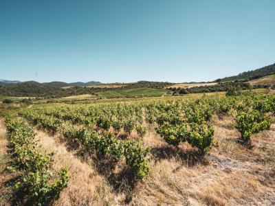 photo For sale Land CASCASTEL-DES-CORBIERES 11