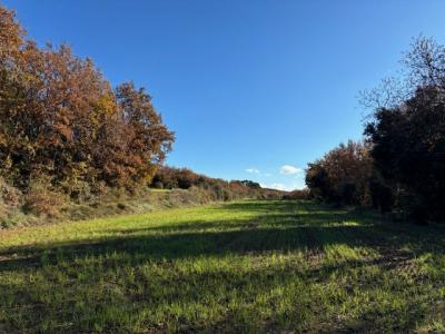 photo For sale Land UZES 30