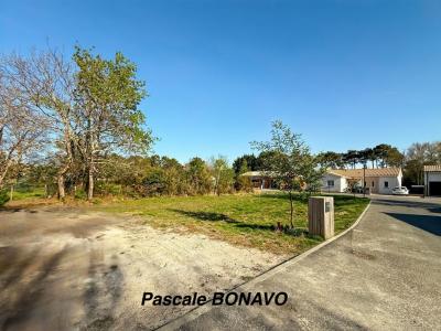 photo For sale Land HOURTIN 33