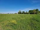Annonce Vente Terrain
