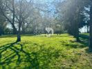 Annonce Vente 9 pièces Maison Cosse-le-vivien