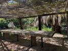 Acheter Terrain 28576 m2 Saint-cyprien