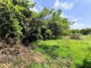 Acheter Terrain Artigues-pres-bordeaux Gironde