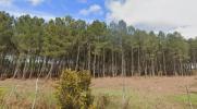 Vente Terrain Brach 33