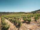 For sale Land Cascastel-des-corbieres ROUTE DES CHTEAUX CATHAR 11360 107 m2