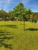 Acheter Maison 110 m2 Argenton-sur-creuse