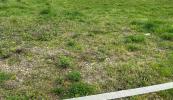 Vente Terrain Village-neuf 68