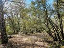 Vente Terrain Camps-la-source 83