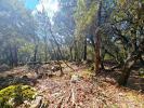 Annonce Vente Terrain Camps-la-source