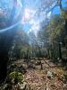 Acheter Terrain Camps-la-source 143000 euros