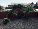 Louer Appartement Basse-terre Reunion