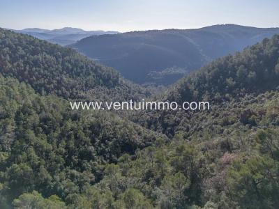 photo For sale Land CABRIS 06