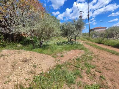 photo For sale Land TAVERNES 83