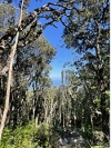 photo For sale Land BRANDO 20