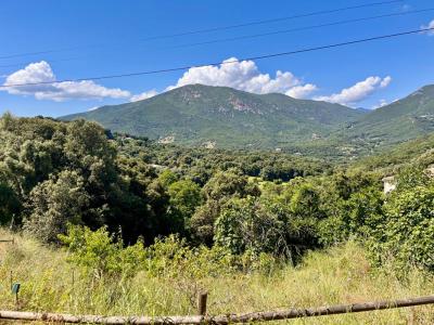 photo For sale Land ECCICA-SUARELLA 20