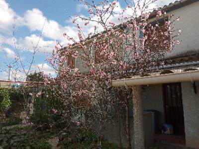 photo For sale House LIMOUX 11