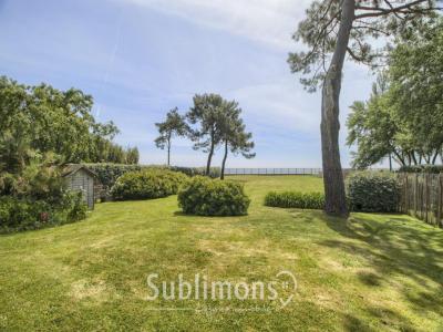 Vente Terrain SARZEAU 56370