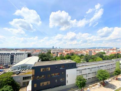 Location Appartement 2 pièces VILLEURBANNE 69100