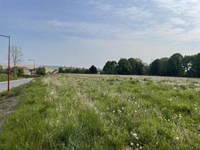Vente Terrain PONTFAVERGER-MORONVILLIERS 51490