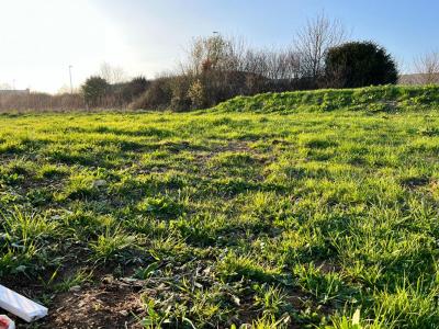 Vente Terrain FALAISE 14700