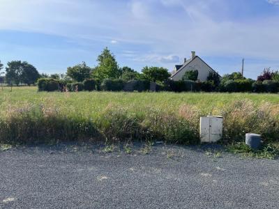 Vente Terrain MONTRELAIS 44370