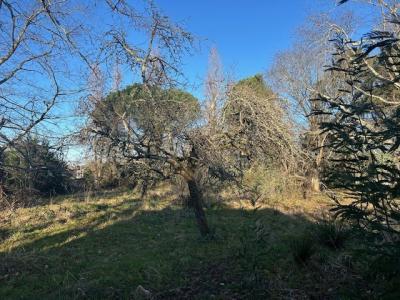 photo For sale Land LOUPES 33