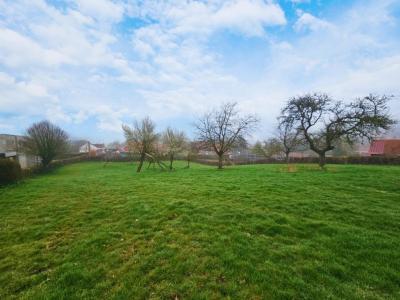 photo For sale Land ACQUIN-WESTBECOURT 62