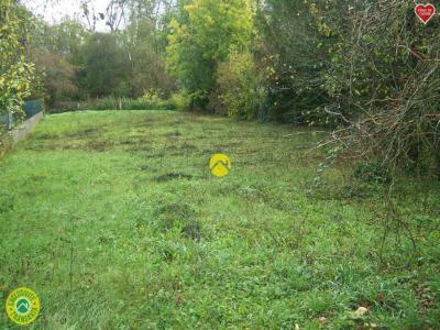 Vente Maison SAINT-FLORENT-SUR-CHER 