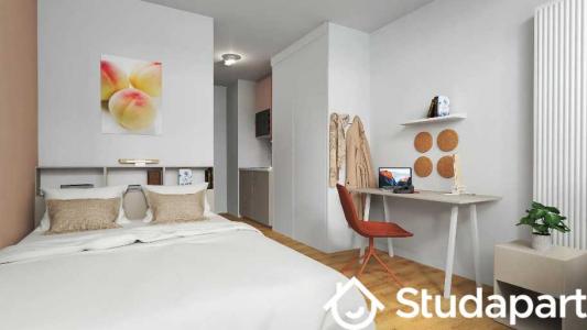 Location Appartement HUNINGUE 68330