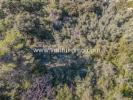 Land CABRIS SAINT-CEZAIRE-SUR-SIAGNE