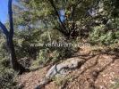 Land CABRIS SAINT-CEZAIRE-SUR-SIAGNE