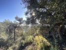 Land CABRIS SAINT-CEZAIRE-SUR-SIAGNE